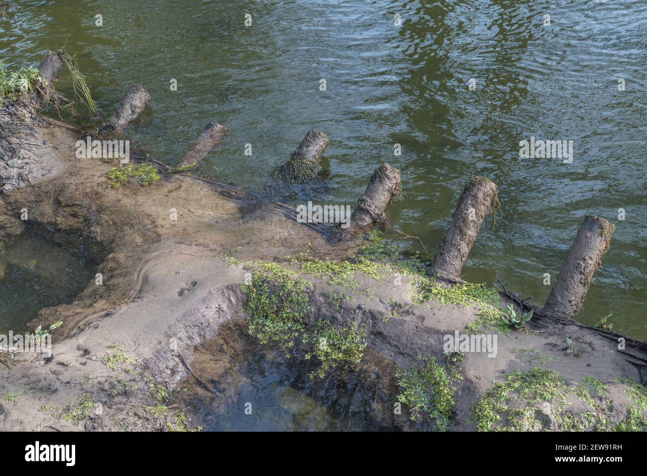Collapsed wooden flood defences / erosion prevention barrier