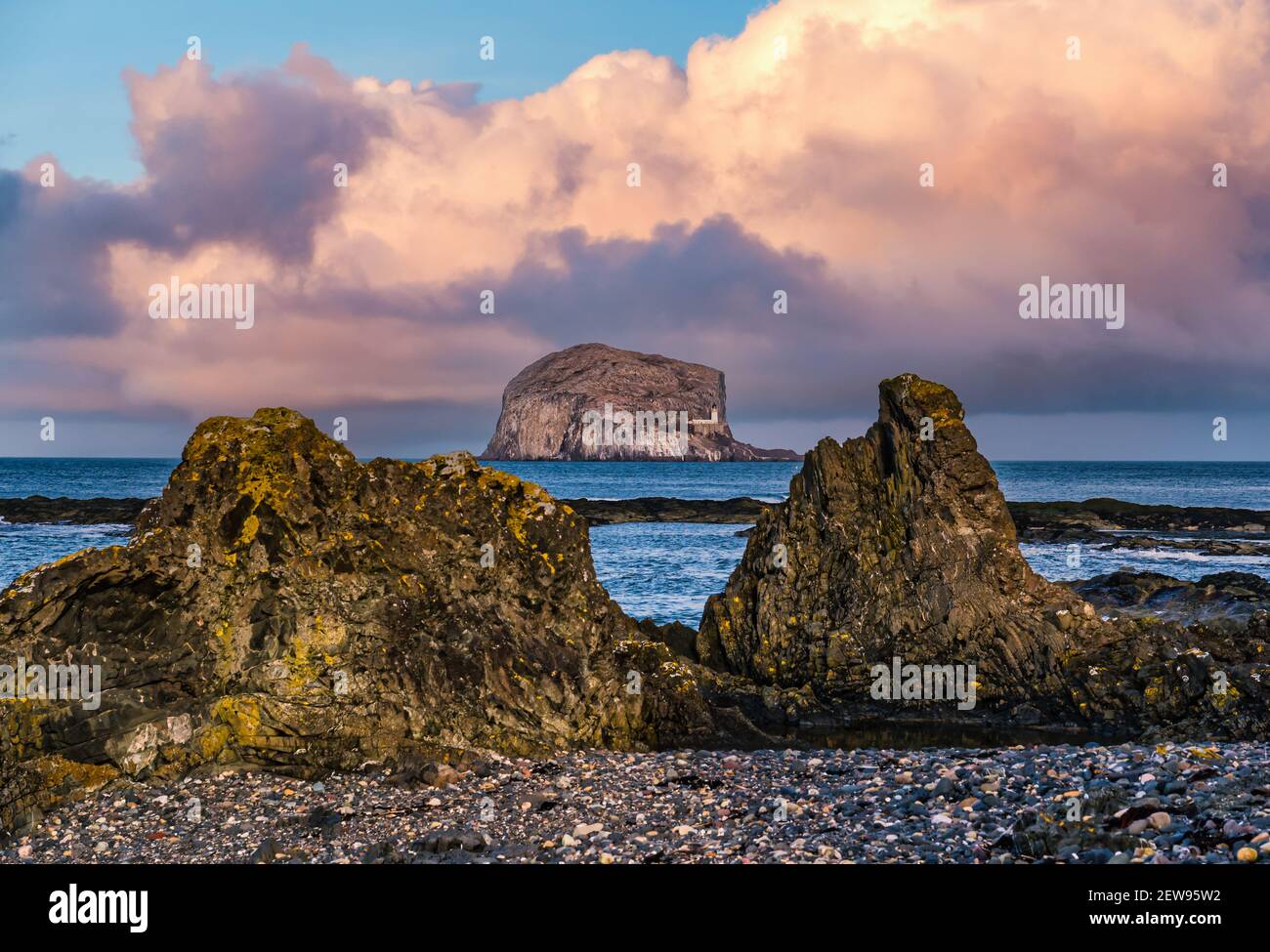 Bass Rock volcanic island with lighthouse framed by shore rocks, Firth of Forth, Scotland, UK Stock Photo