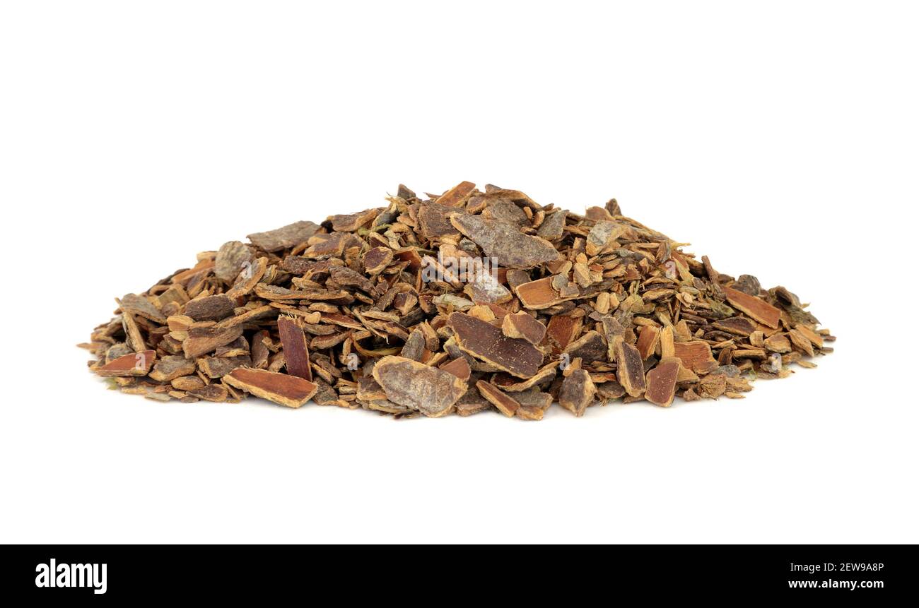 Cascara herb bark used in herbal medicine to treat constipation on white background. Rhamnus purshiana. Stock Photo