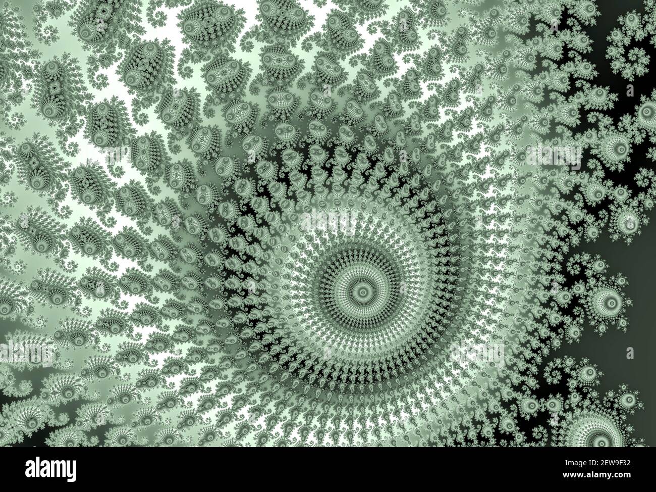Infinite Shape Zoom In Beautiful zoom into the infinite mathemacial mandelbrot set fractal ...
