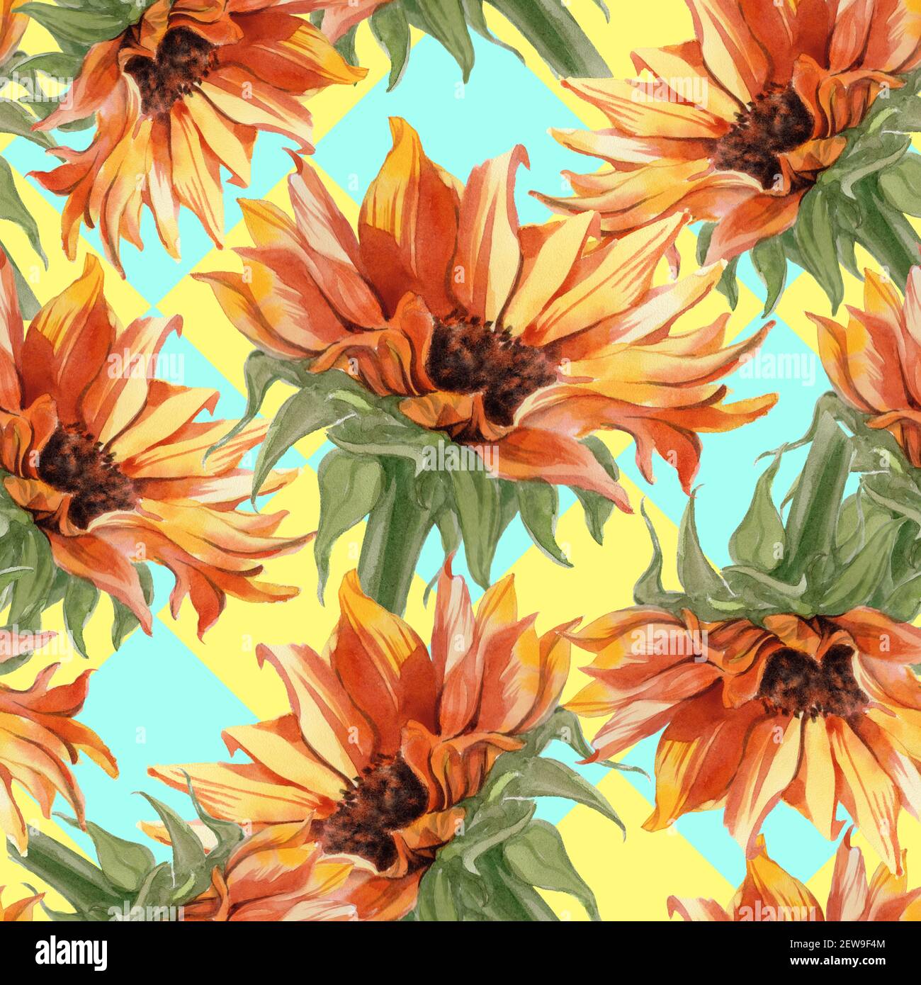 Botanical illustration of sunflower hi-res stock photography and images ...