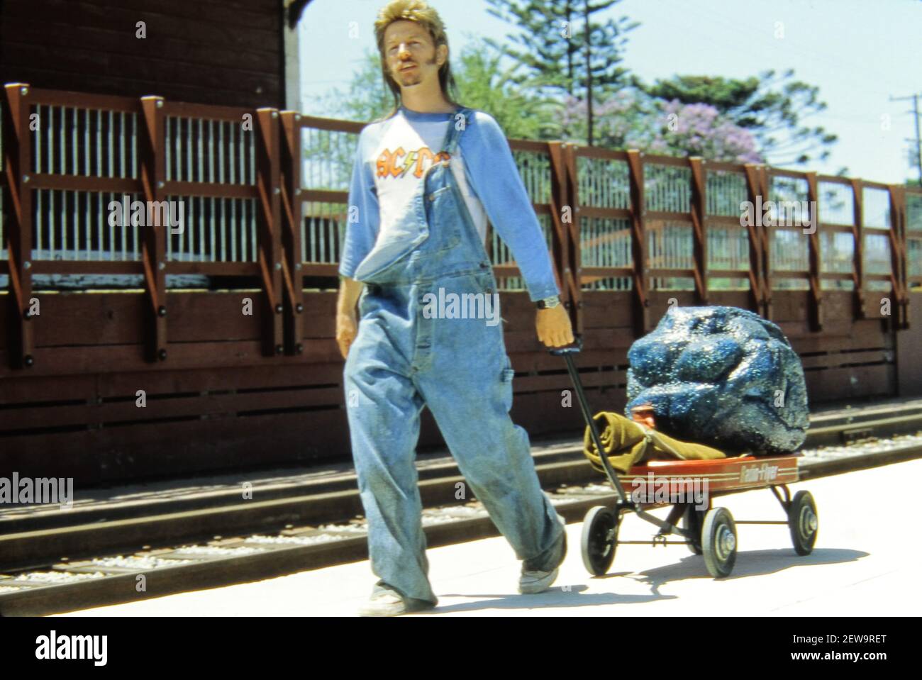 Joe dirt top jean shorts