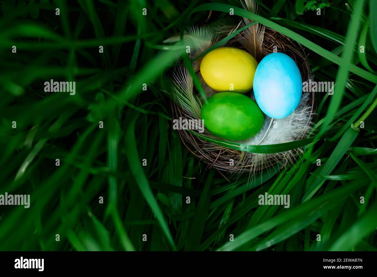 Stylish colorful easter eggs with feathers in the nest on green grass ...