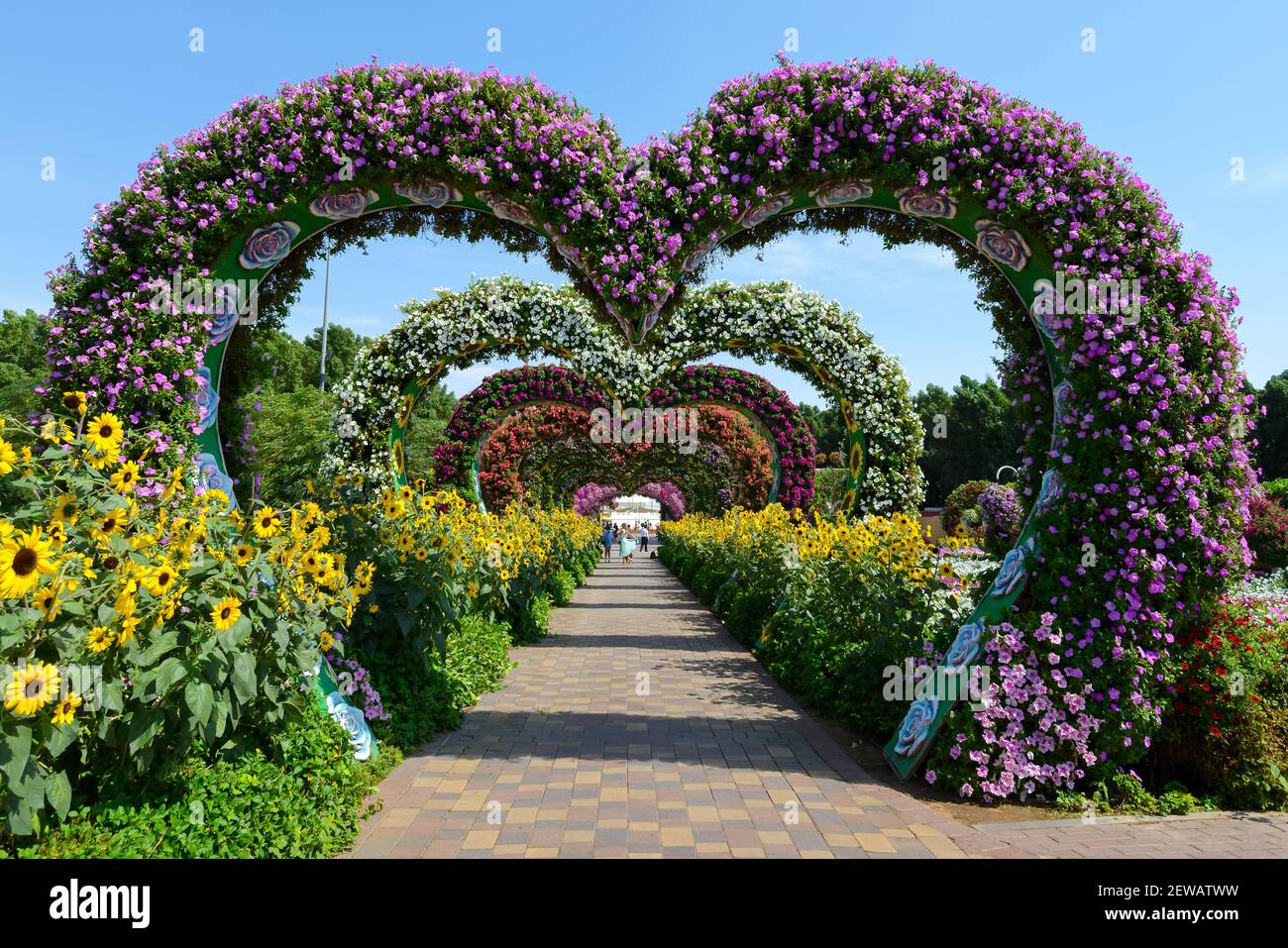 Flower Hearts Passage at Dubai Miracle Garden, a passageway of flowers located in Dubailand, Dubai, United Arab Emirates. Heart shaped flowers tunnel. Stock Photo