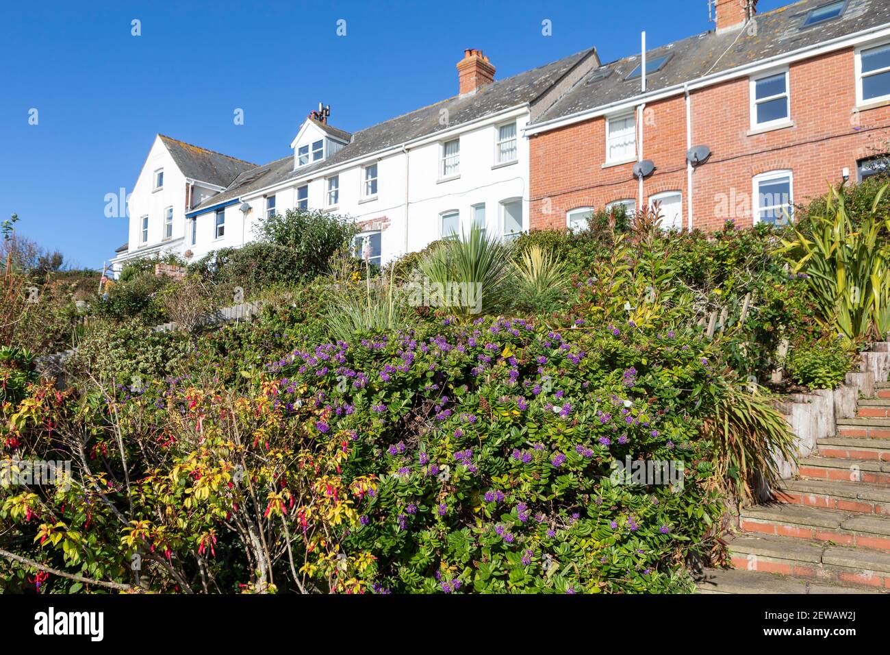 Coastguard Cottages, East Prawle, Devon Stock Photo Alamy