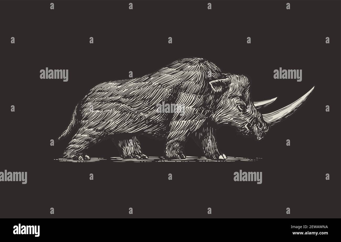 Woolly rhino sketch hi-res stock photography and images - Alamy Woolly rhino sketch hi-res stock photography and images - Alamy