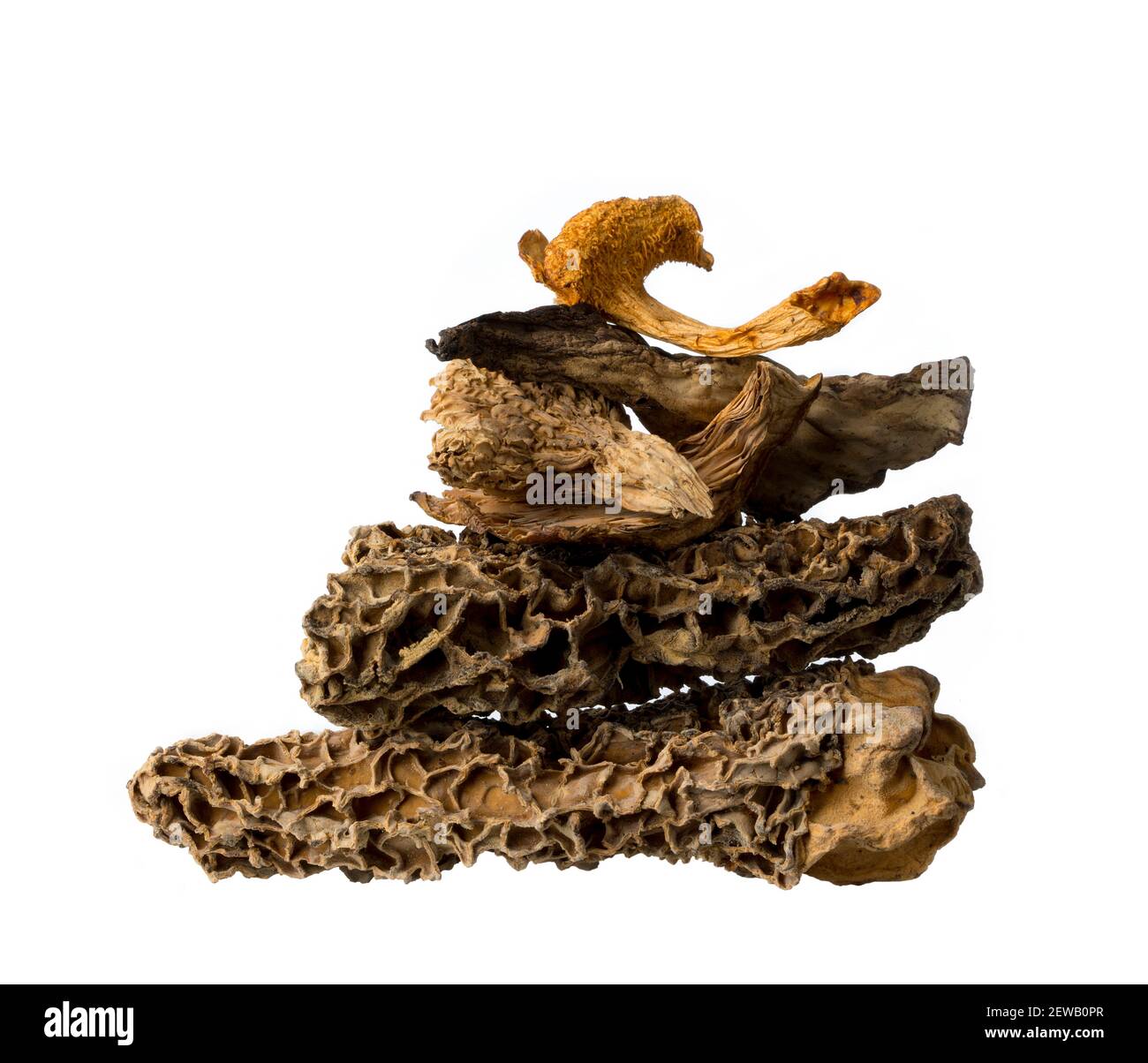 A stack of dried wild mushrooms including morels and chanterelles on a