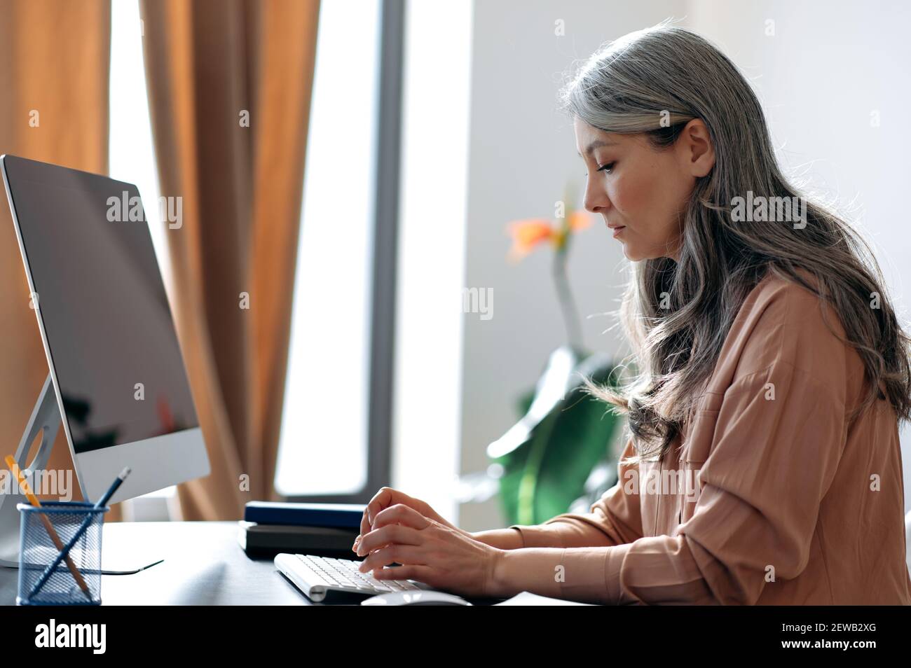 Focused gray-haired mature asian female employee, manager, ceo, working on computer, browsing internet, searching ideas, answers email, sitting at the work desk Stock Photo