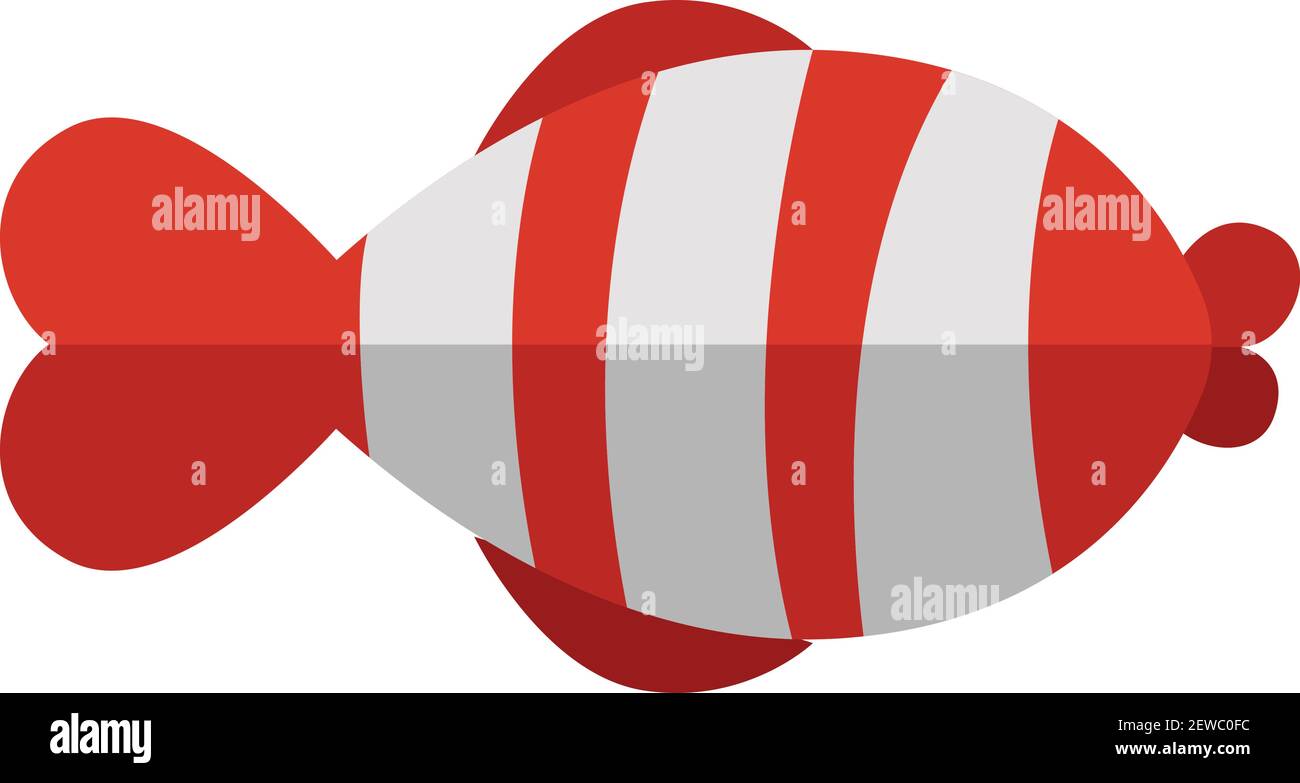 Red and white fish with stripes, illustration, vector on white background. Stock Vector