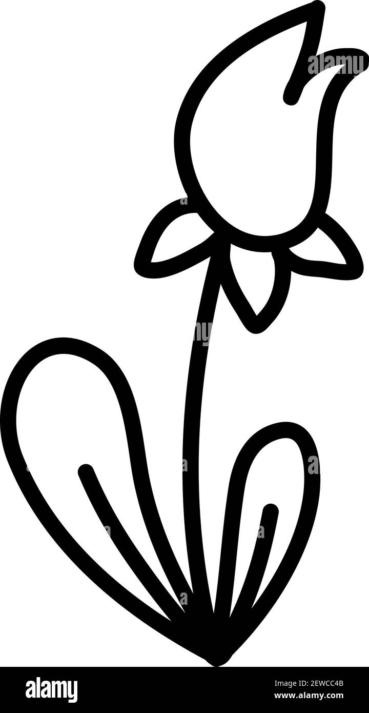Closed bloom, illustration, vector on white background Stock Vector ...