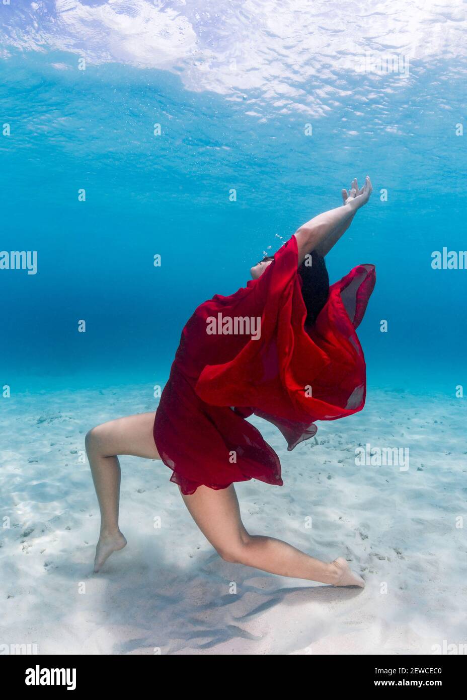 Beautiful Girl underwater in Angel City, Bonaire, Leeward Antilles Stock Photo