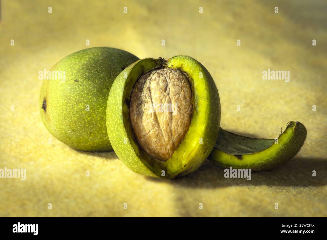 Walnut closed yet unripe inside the fruit with a yellow background Stock Photo