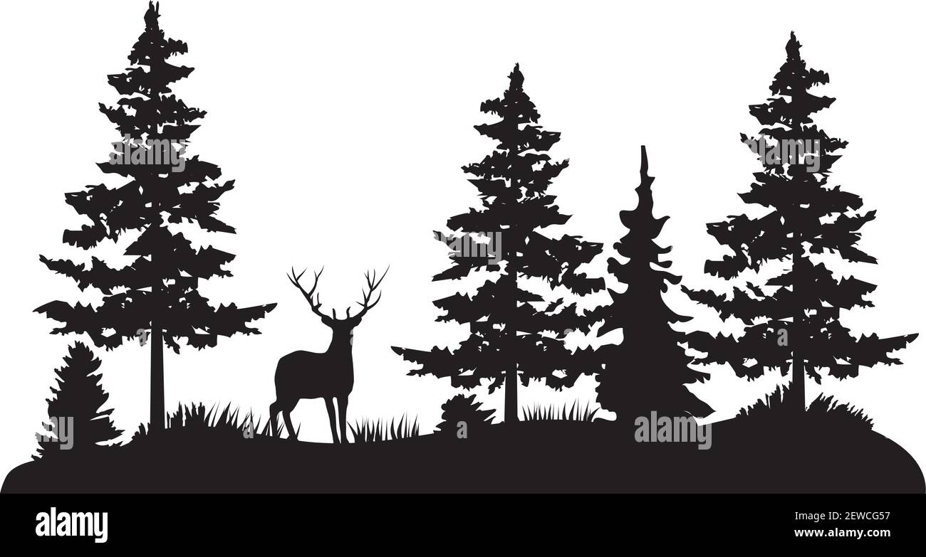 vector illustration of deer in the woods. Pine trees, wilderness, outdoors background. Stock Vector