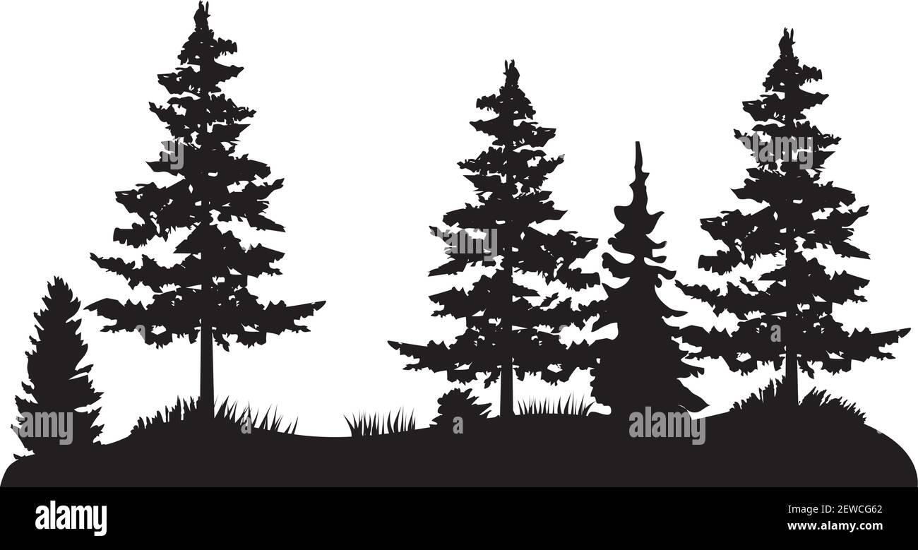 vector illustration of Pine trees, wilderness, outdoors background. Forest. Stock Vector
