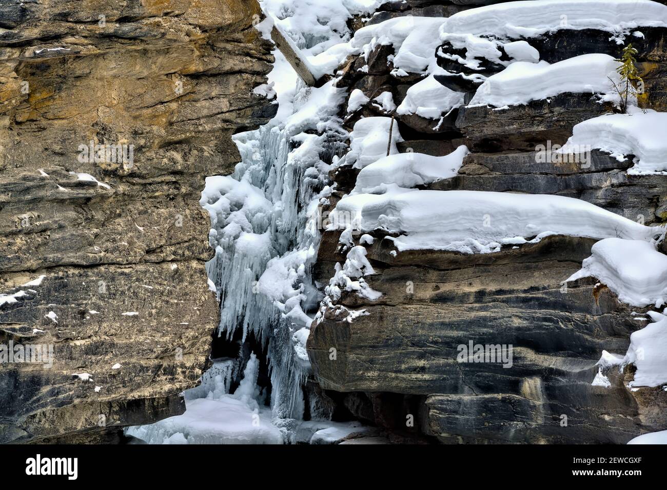 A horizontal image of The Athabasca canyon walls with ice and snow clinging to the rock in winter in Jasper National Park in Alberta Canada. Stock Photo