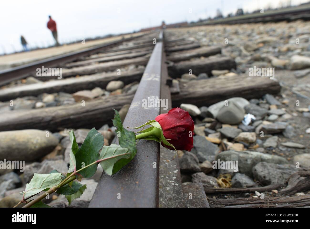 An image from Auschwitz-Birkenau on the day of 71st Anniversary of the Liberation of the former Nazi German Concentration and Extermination Camp in Auschwitz-Birkenau.  Brzezinka (Auschwitz-Birkenau) camp, Oswiecim, Poland. On 27 January 2016. Stock Photo