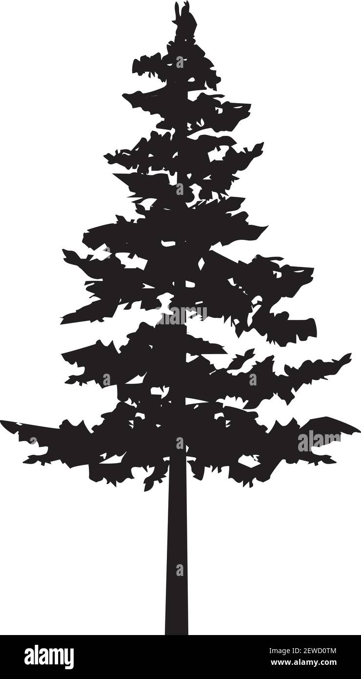 vector illustration of a pine tree silhouette, nature, outdoors background. Stock Vector