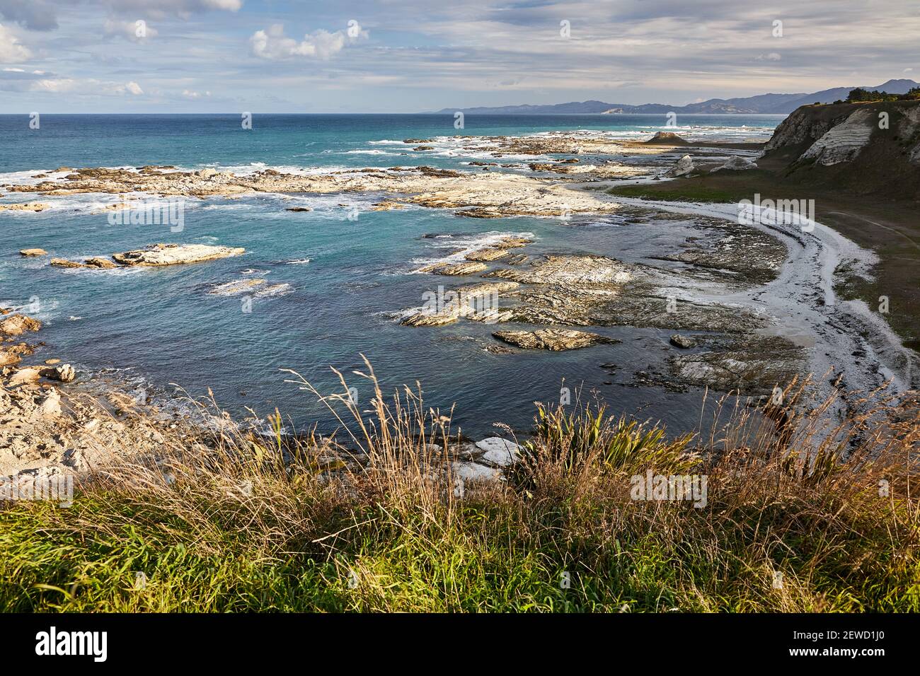 On the Kaikoura Peninsula Walkway which takes you along a spectacular