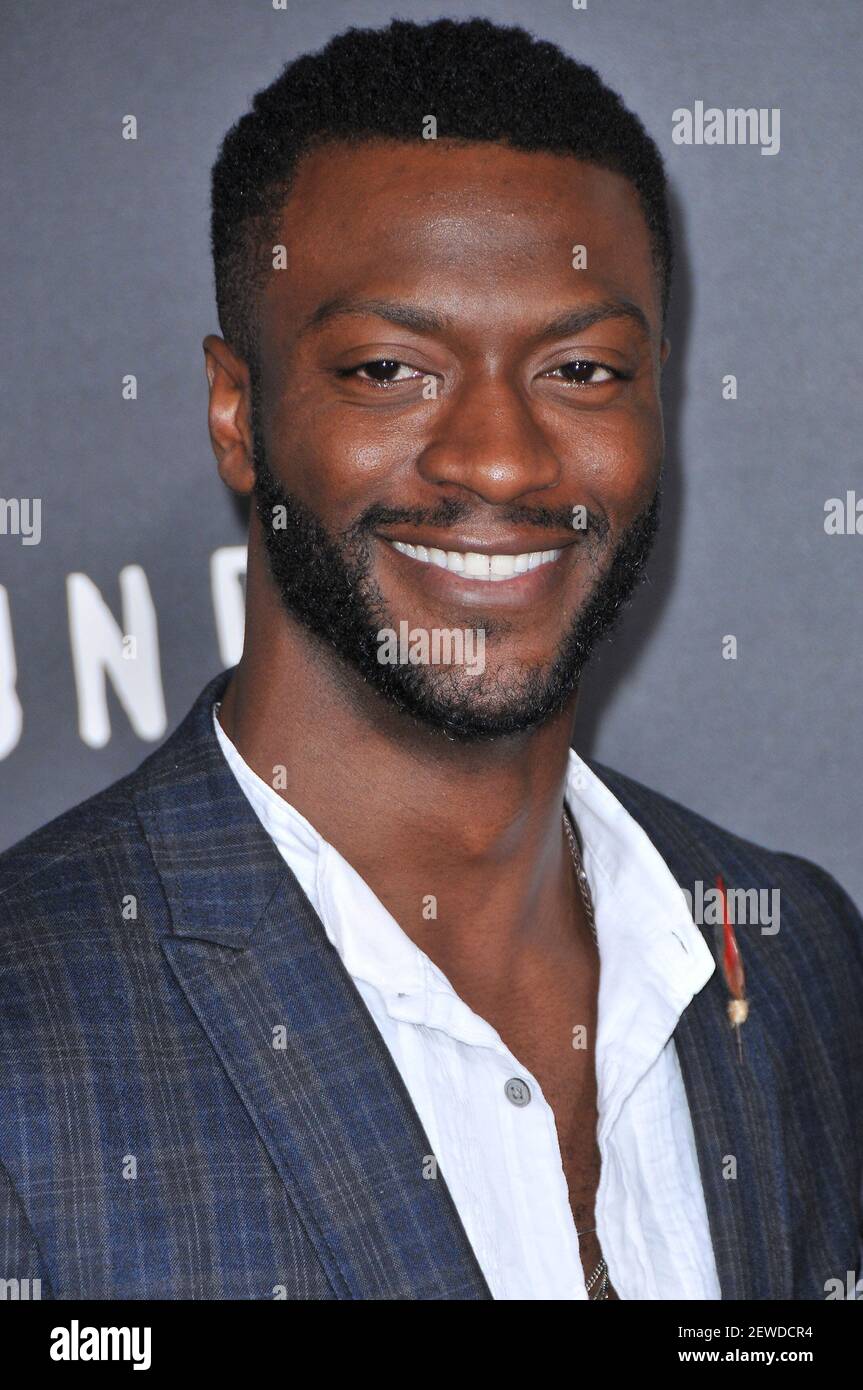 Aldis Hodge arrives at the WGN America's 