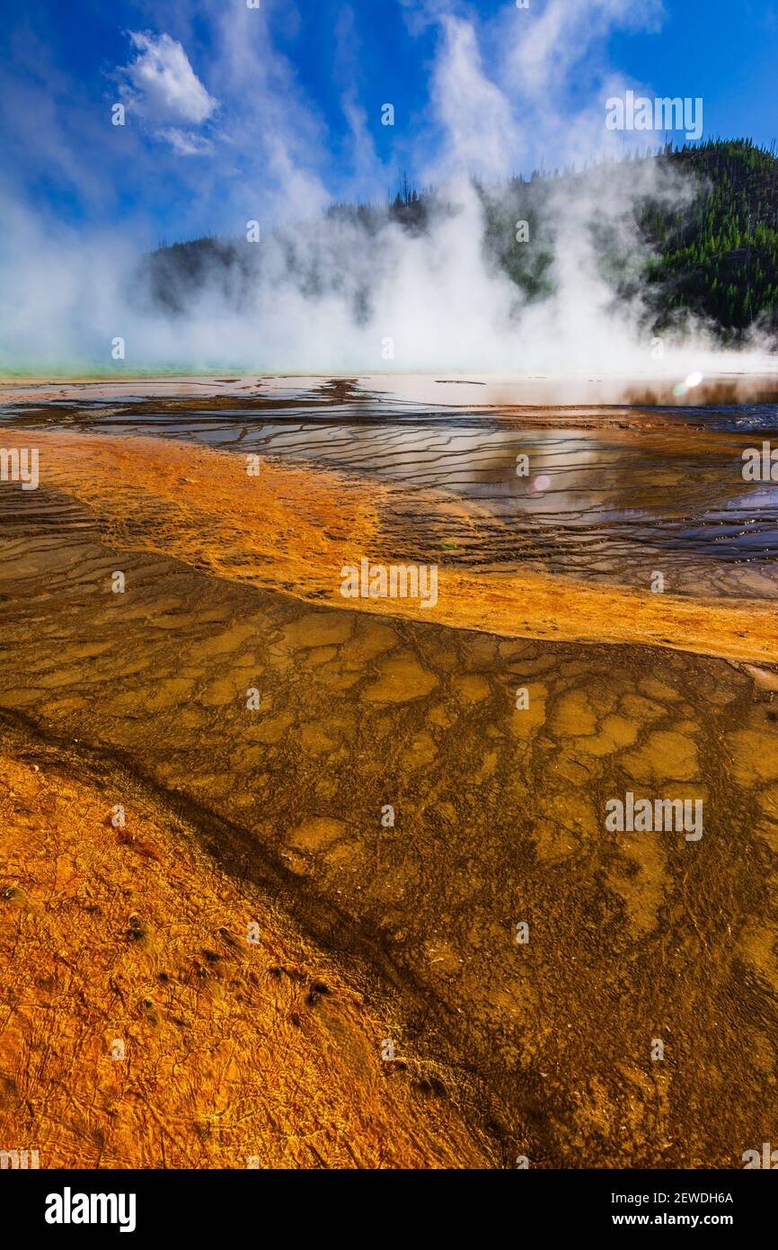 Yellowstone Spring Steam Steam rising off Grand Prismatic Spring, Yellowstone National Park ...