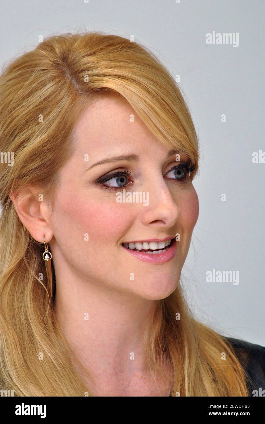 Melissa Rauch at the Hollywood Foreign Press Association press ...