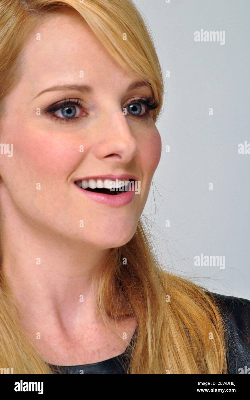 Melissa Rauch at the Hollywood Foreign Press Association press ...