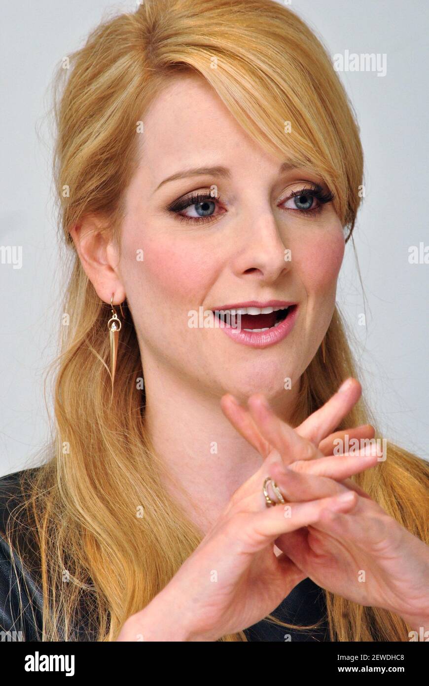 Melissa Rauch at the Hollywood Foreign Press Association press ...
