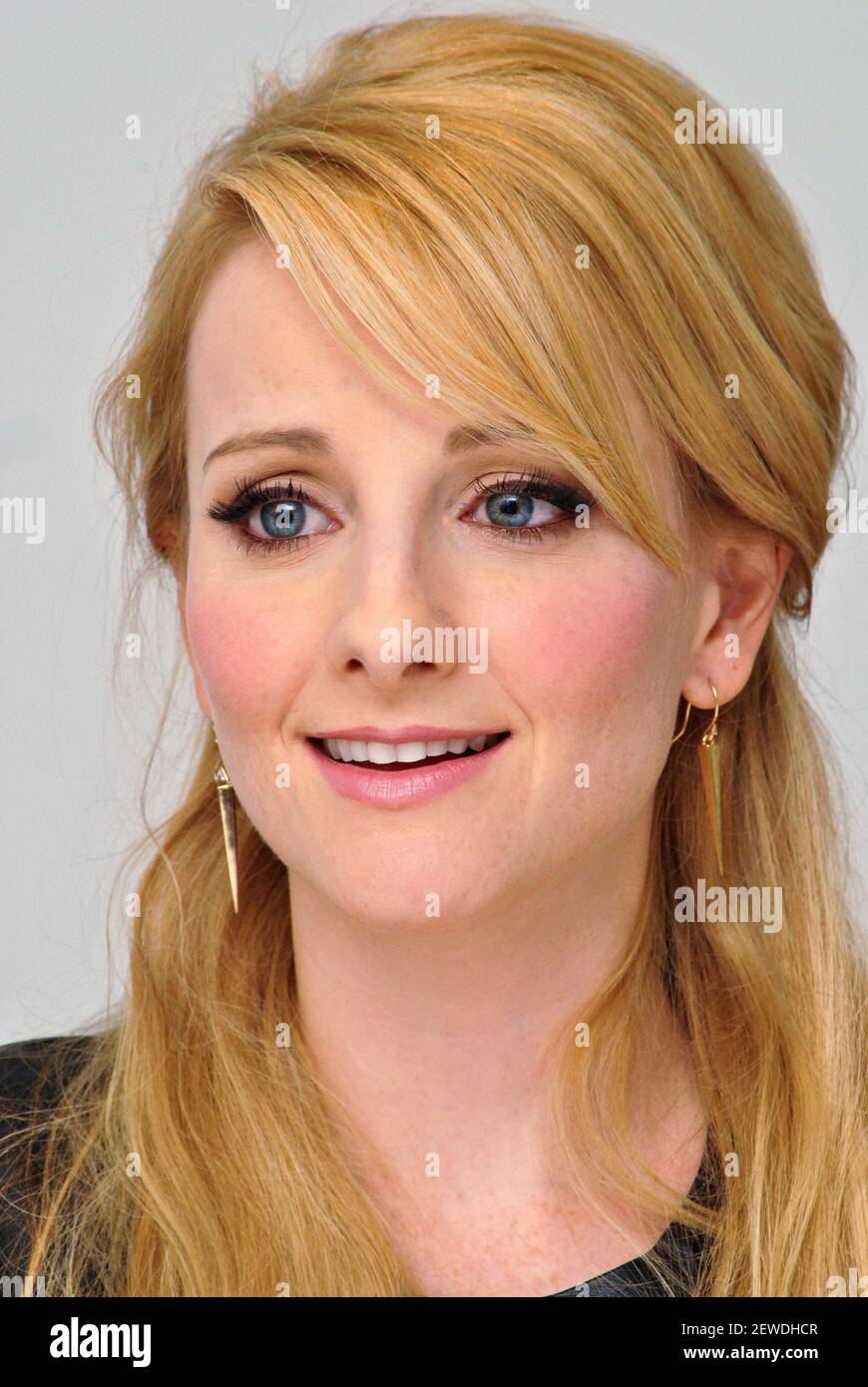 Melissa Rauch at the Hollywood Foreign Press Association press ...
