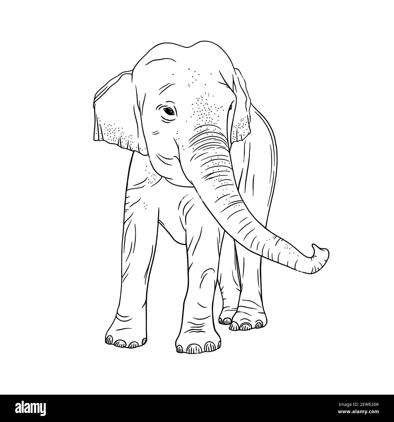 Elephant isolated on white background. Realistic Indian elephant with upturned trunk. Sketch vector illustration Stock Vector