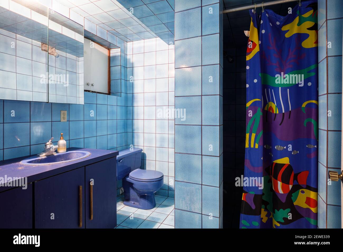 A bathroom with a blue theme going on inside an abandoned mansion. Stock Photo
