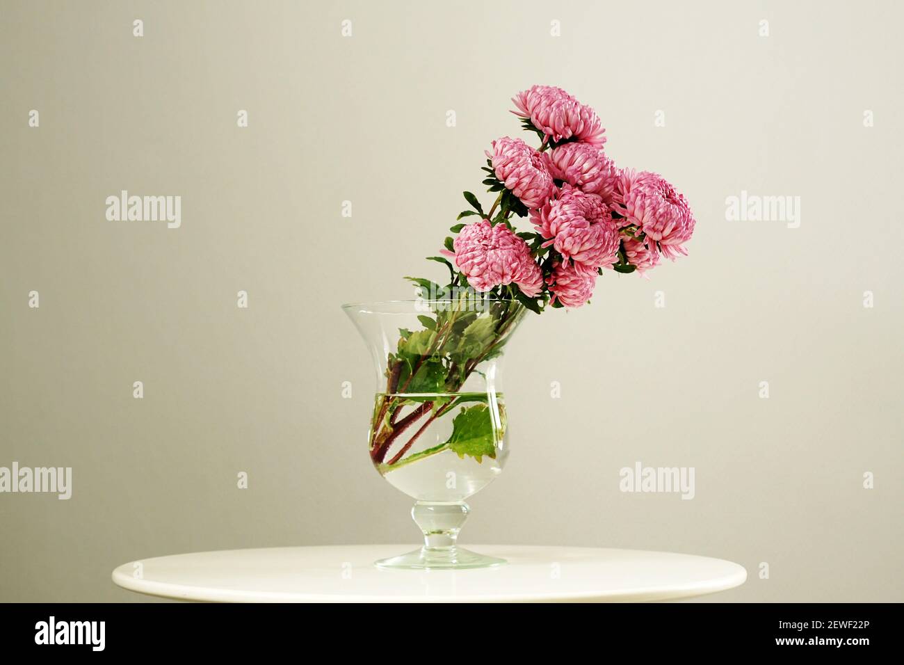 A bunch of delicate pink freshly picked peony flowers in a decorative ...