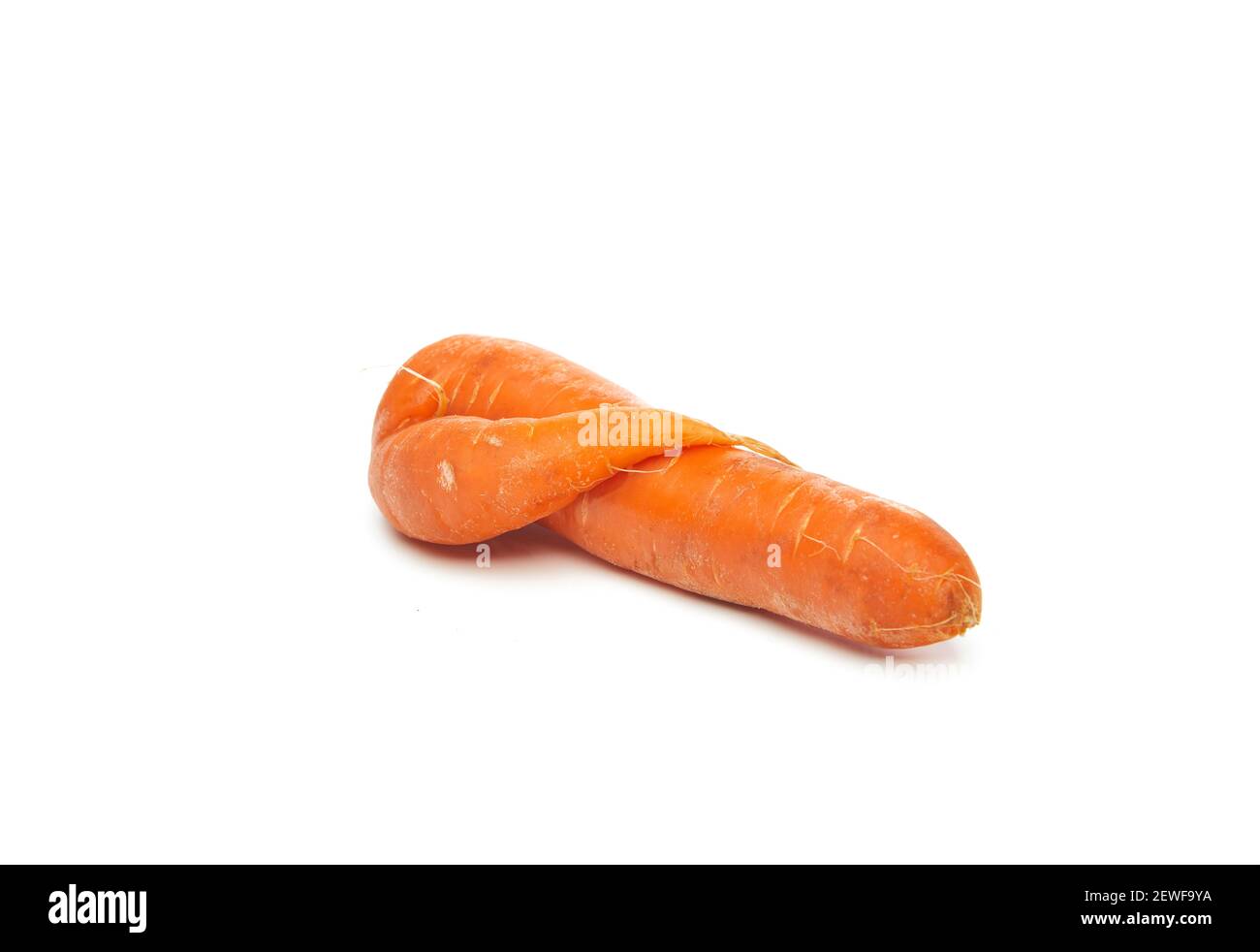 Fresh natural ugly raw carrot isolated on white background Stock Photo
