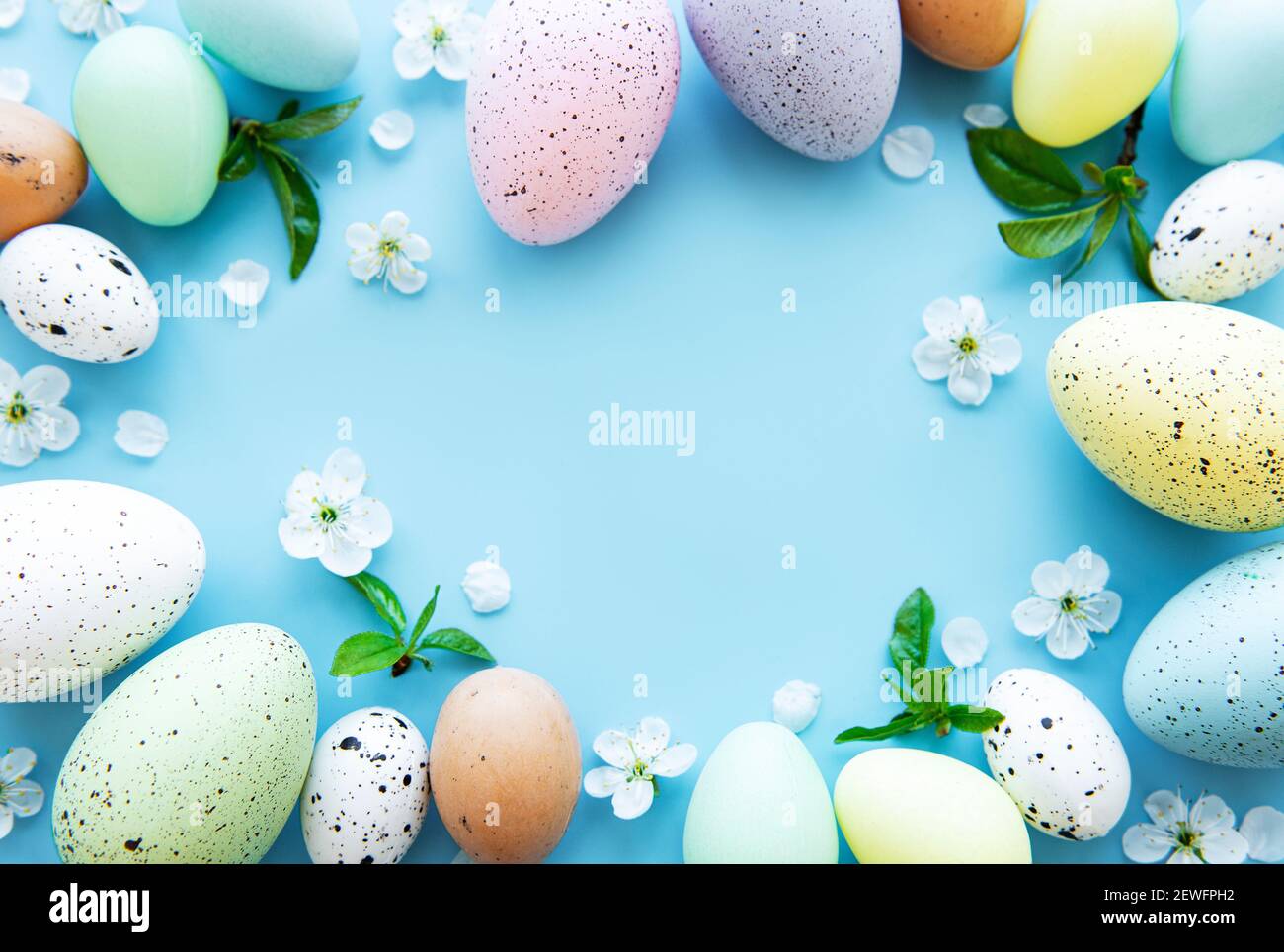 Colorful Easter eggs with spring blossom flowers over blue background ...