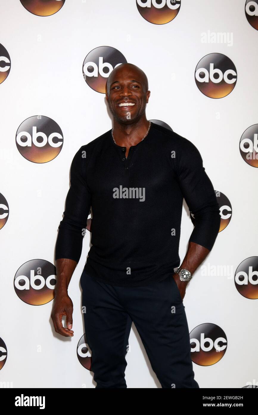 Billy Brown Rip LOS ANGELES - AUG 4: Billy Brown at the ABC TCA Summer 2016 Party at ...