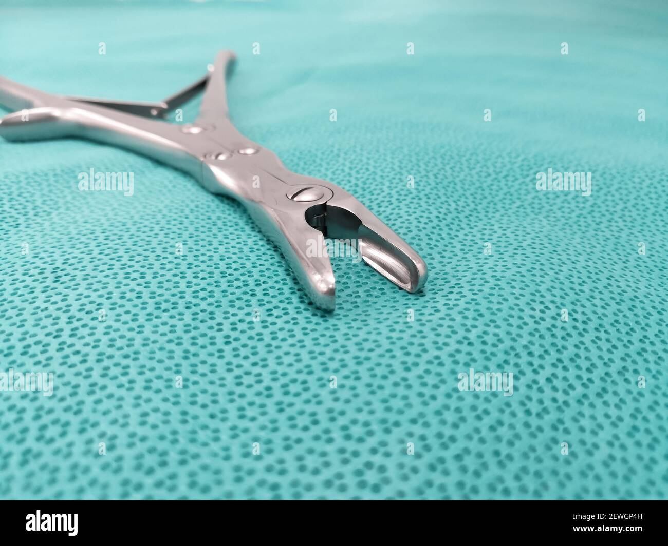 Bone nibbler cutter hires stock photography and images Alamy