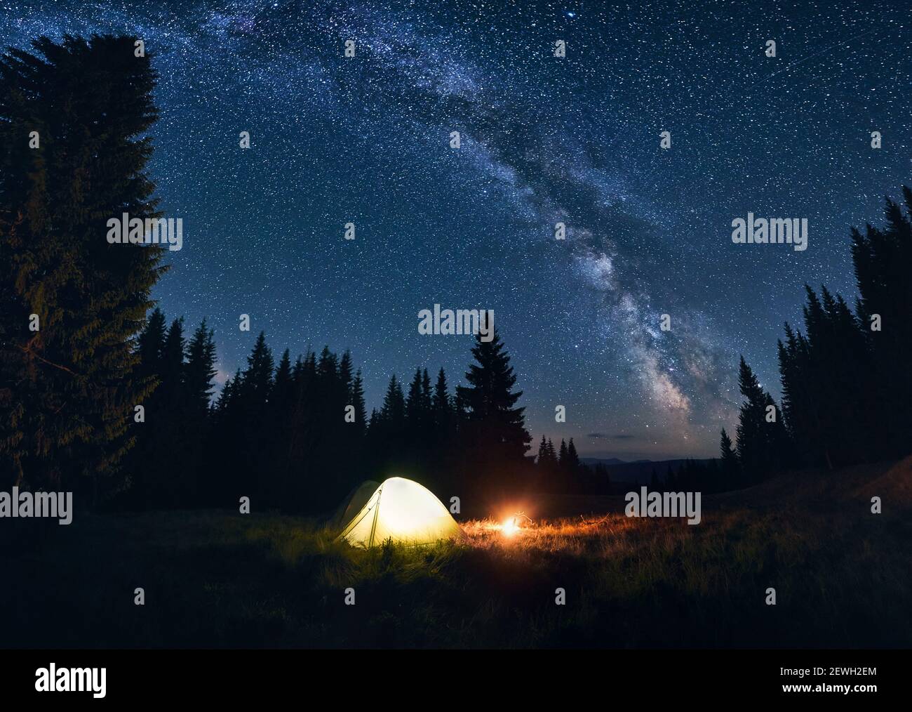 Stars Trees Camping Campfire High Resolution Stock Photography And Images Alamy
