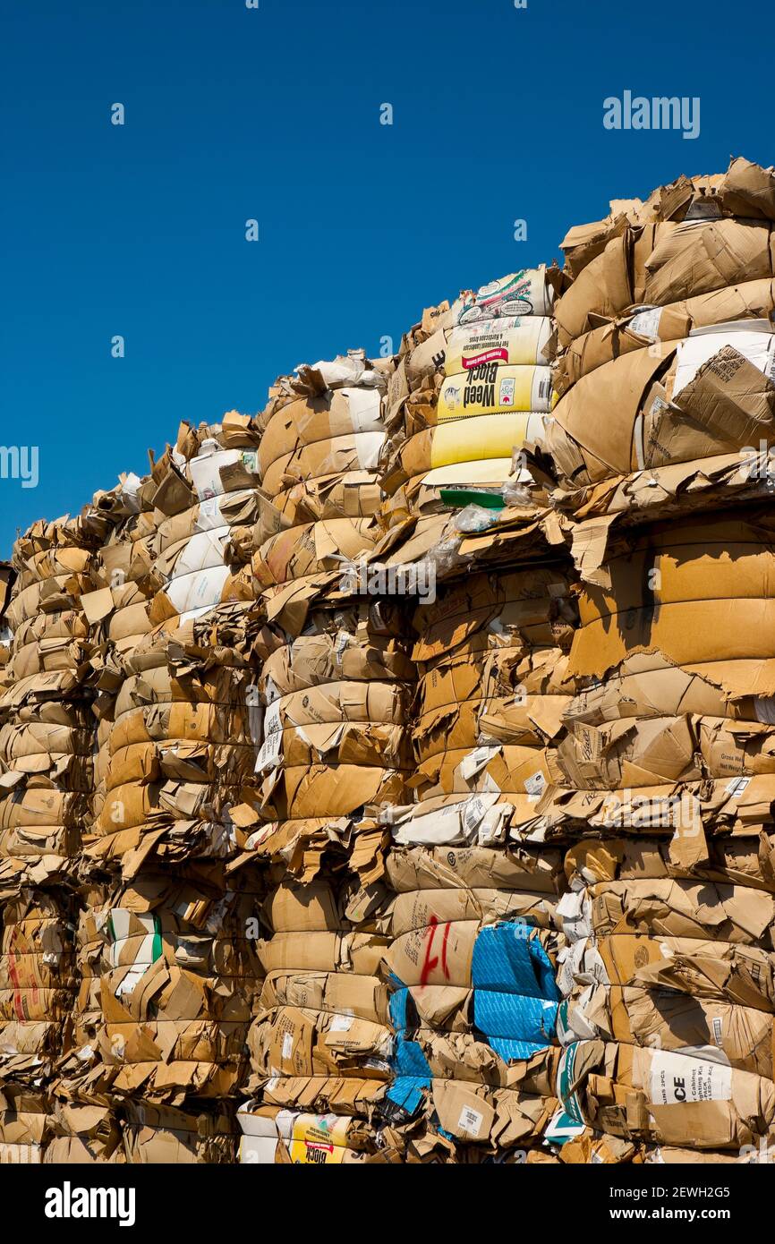 Commercial waste management, bales of recycling materials, cardboard stacked up. Stock Photo