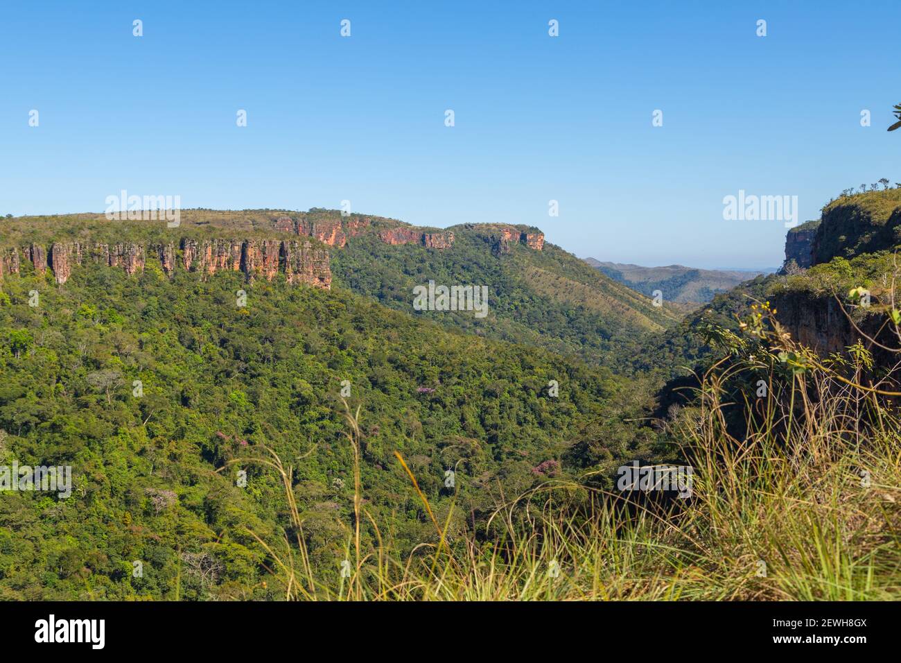 View into a small canyon in the Chapada dos Guimaraes Nationalpark in Mato Grosso, Brazil Stock Photo