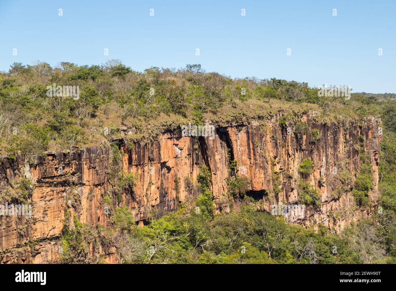 Plateau and Cliffs in the Chapada dos Guimaraes Nationalpark close to the Veu da Noiva in Mato Grosso, Brazil Stock Photo