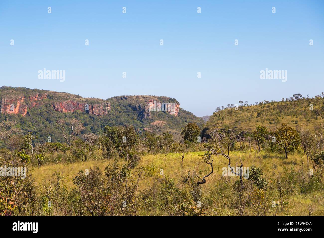 The beautiful landscape in the Chapada dos Guimaraes Nationalpark in Mato Grosso, Brazil Stock Photo