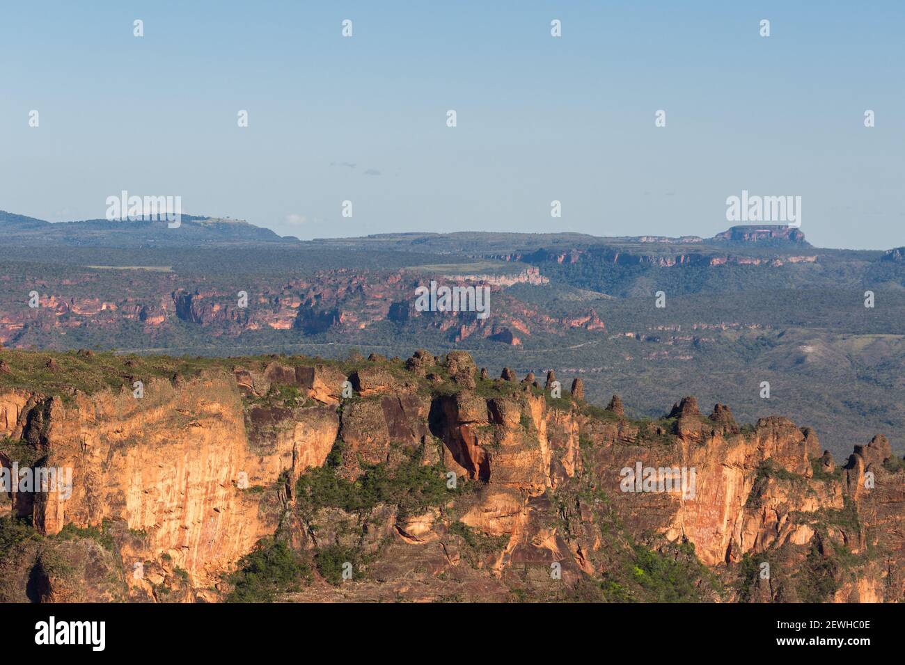 Mato Grosso Plateau South America