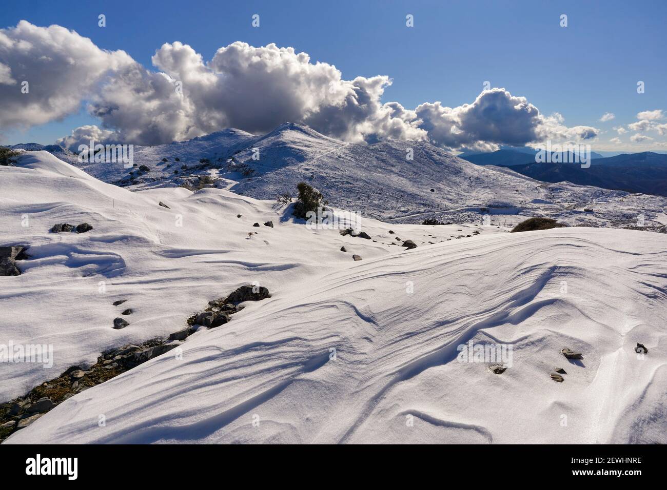snowfall in the Sierra de las Nieves national park in the Serrania de