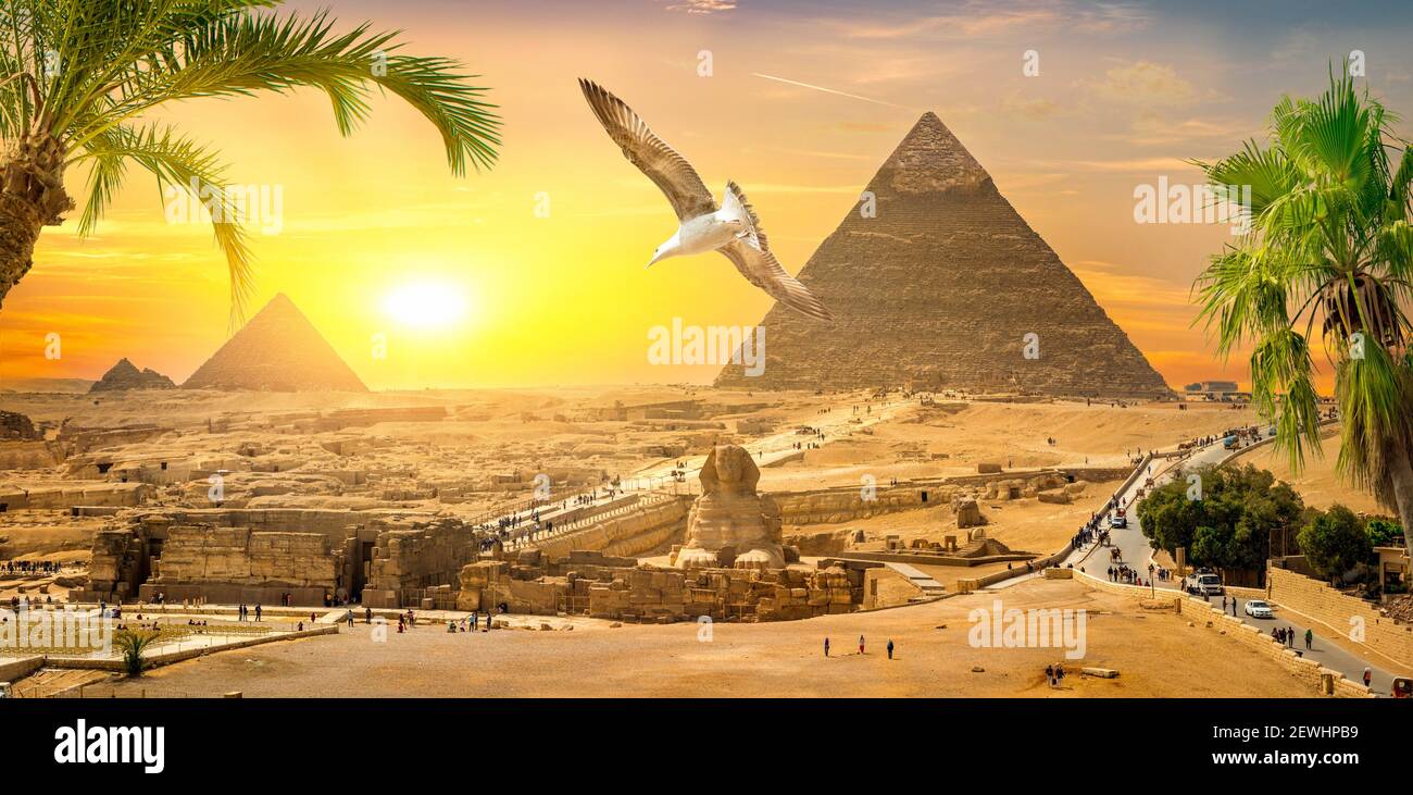 Sphinx and pyramids in the egyptian desert. Stock Photo