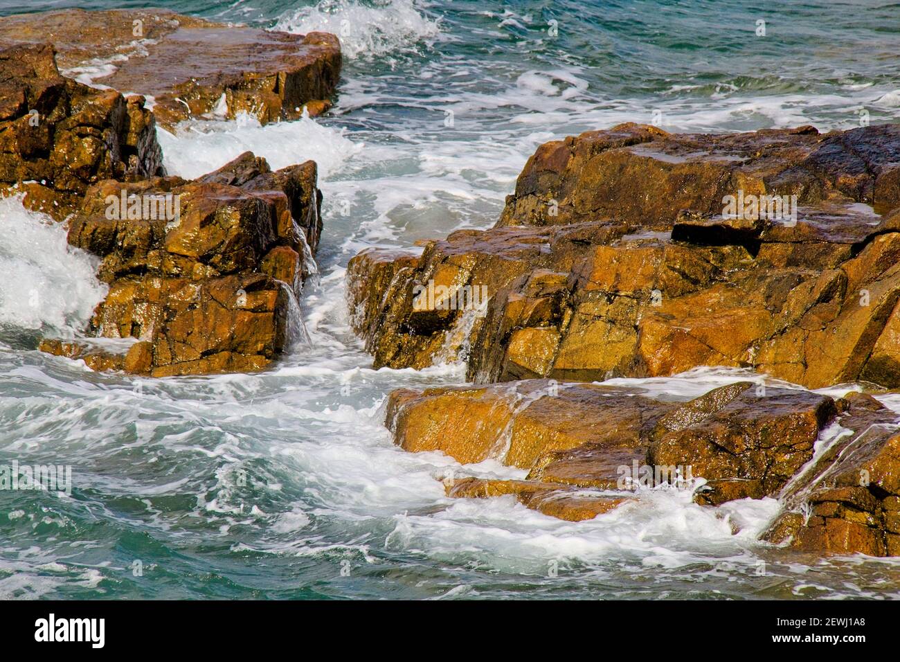 Wet beach rocks close hi-res stock photography and images - Alamy
