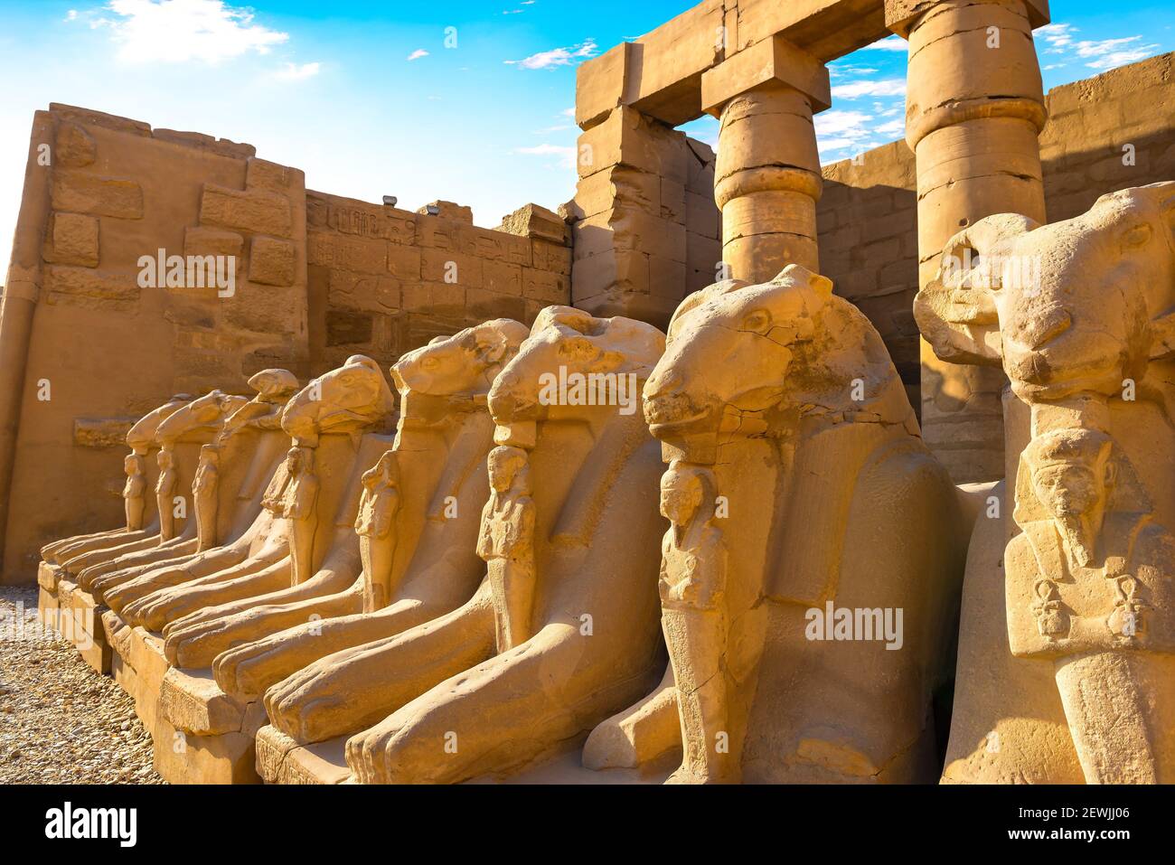 Avenue of Sphinxes in Karnak temple at sunrise, Egypt. Stock Photo