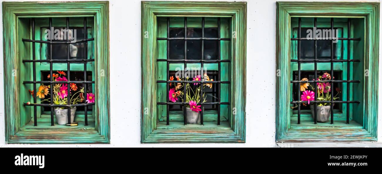 Flowers in the windows Stock Photo Alamy