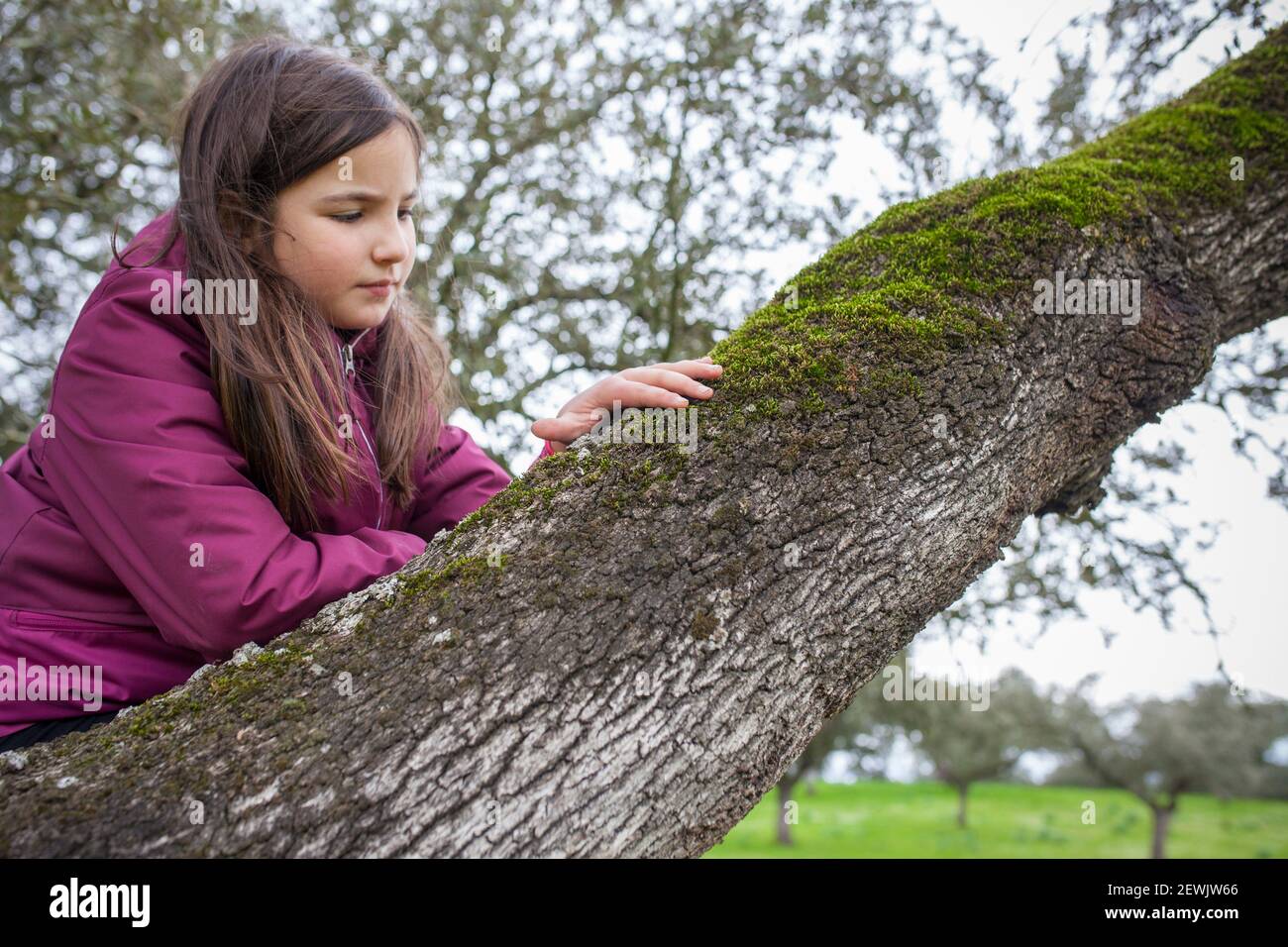 Child girl feeling tree moss over branch. Children discovering textures in nature. Selective focus. Stock Photo