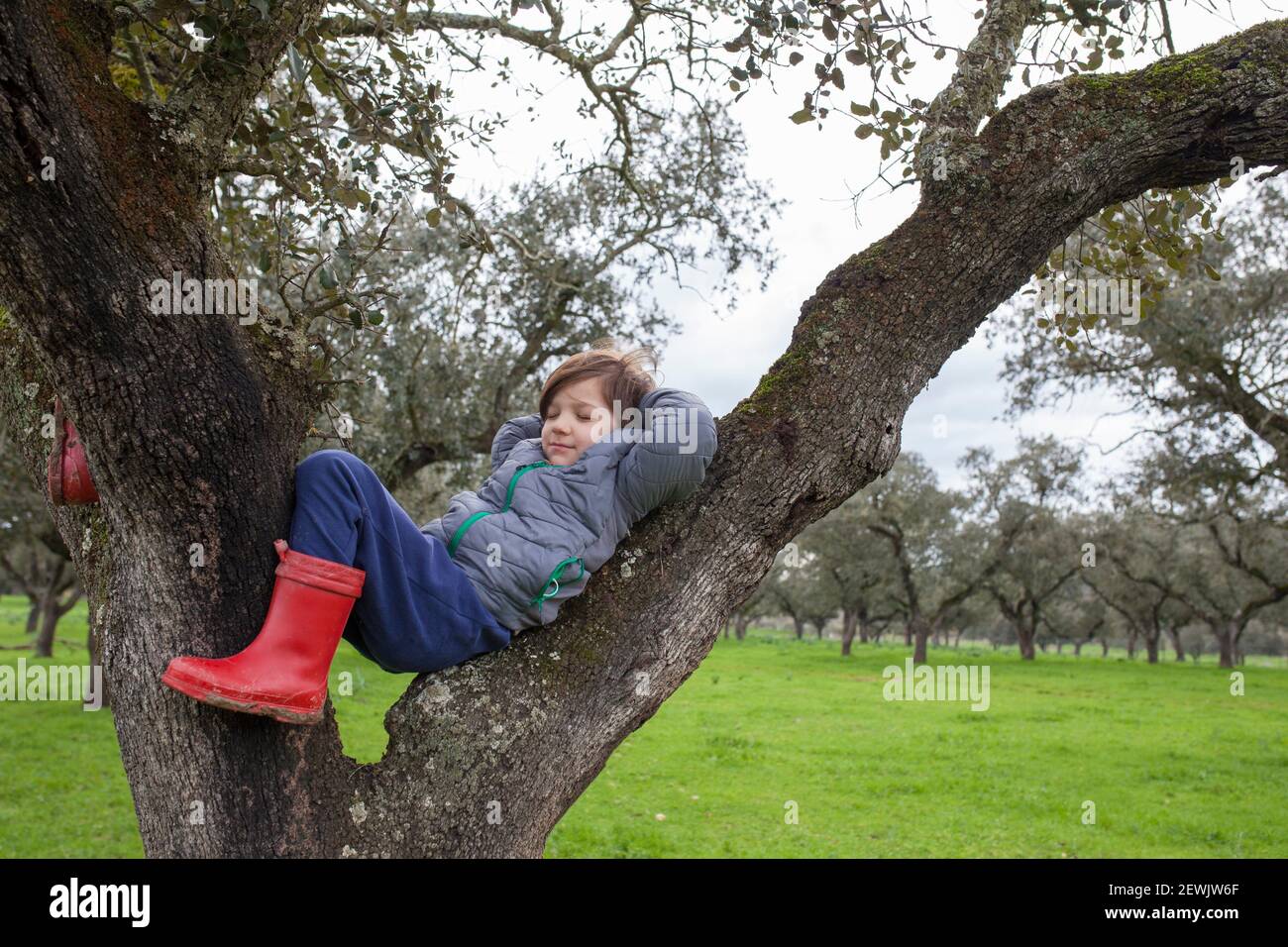 Child boy sleeping over tree after intense journey in nature. Children discover nature concept. Stock Photo