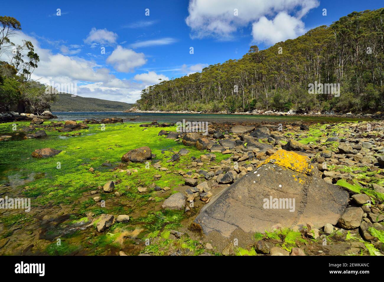 Bivouac bay, Tasmania (Australia) Stock Photo