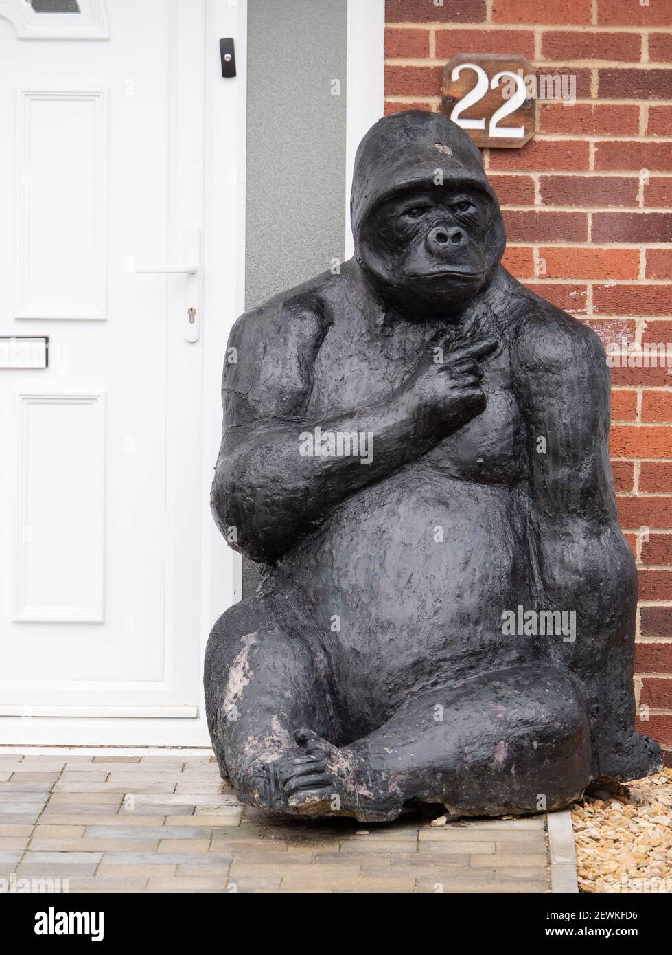 An unusual garden ornament of a life-size Gorilla sitting outside somebody's from door in Westbury, Wiltshire, England, UK. Stock Photo